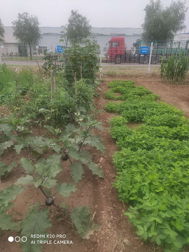 北京邢鋼焊網科技發(fā)展有限責任公司