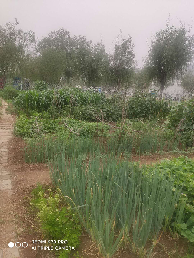 北京邢鋼焊網科技發(fā)展有限責任公司